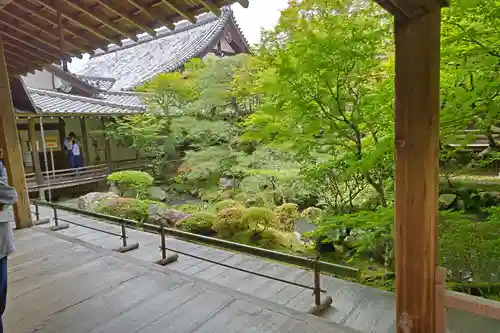 禅林寺（永観堂）の庭園