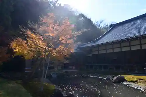 円覚寺の庭園