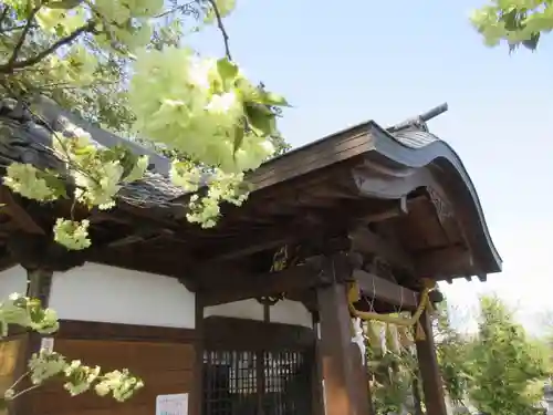 山田八幡神社の本殿