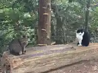 峯神社(大麻比古神社奥宮)(徳島県)