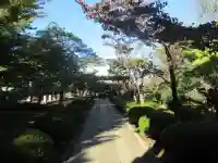 豪徳寺(東京都)