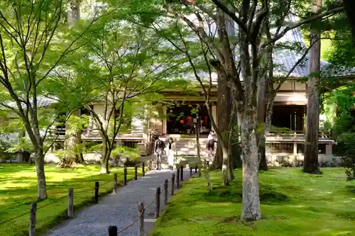 三千院門跡の本殿・本堂