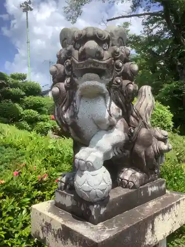 縣神社の狛犬