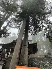 三峯神社(埼玉県)