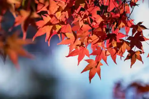 伊勢の国 四天王寺(三重県)