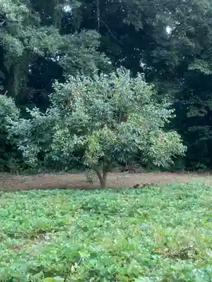 結縁寺(千葉県)