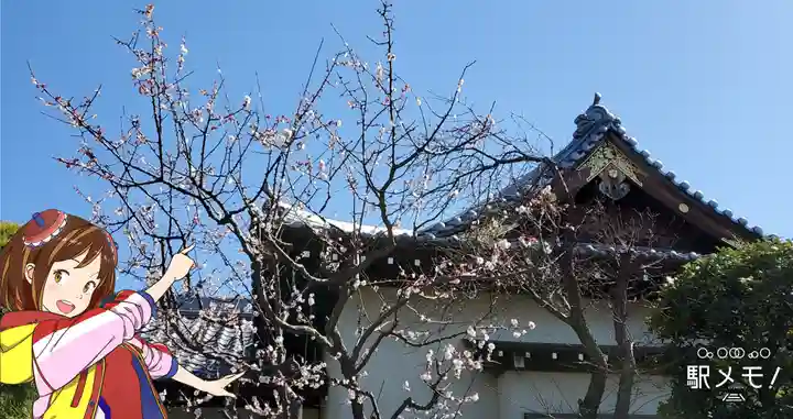 慶円寺のその他建物