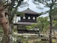 慈照寺(慈照禅寺・銀閣寺)(京都府)
