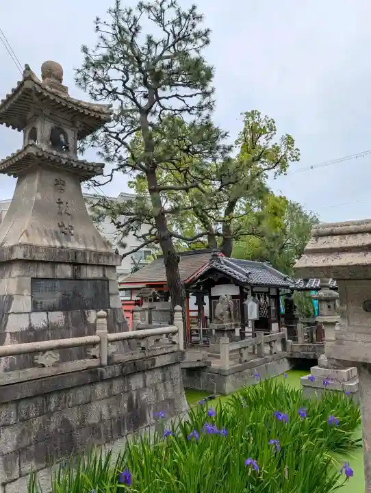 浅澤社(住吉大社境外末社)の{uncategorized: "未分類", other: "その他", undefined: "問題あり", building: "その他建物", grave: "お墓", sacred_gate: "鳥居", guardian: "狛犬", statue: "像", buddha: "仏像", history: "歴史", nature: "自然", garden: "庭園", animal: "動物", pagoda: "塔", temizu: "手水舎", mountain_gate: "山門・神門", sanctuary: "本殿・本堂", subordinate: "末社・摂社", art: "芸術", scenery: "景色", jizo: "地蔵", ema: "絵馬", goshuin: "御朱印", omikuji: "おみくじ", items: "授与品その他", amulet: "お守り", goshuincho: "御朱印帳", eats: "食事", festival: "お祭り", votive_dance: "神楽", shichigosan: "七五三参", wedding: "結婚式", experience: "体験その他", initially: "初詣", around: "周辺", anti_infection: "感染症対策"}