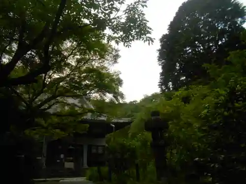 安國論寺（安国論寺）の景色