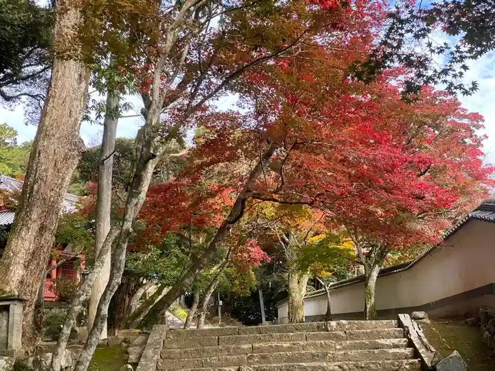 光明寺(兵庫県)