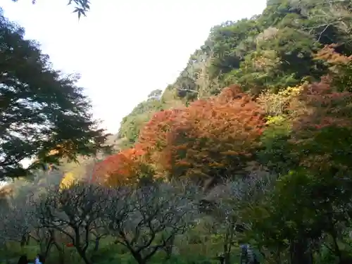 瑞泉寺の景色