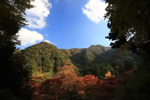 鰐淵寺の景色