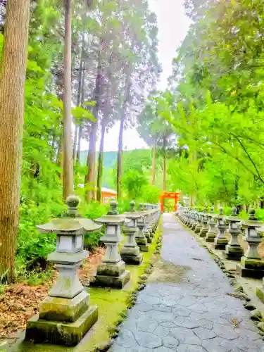 嵐山瀧神社(大分県)