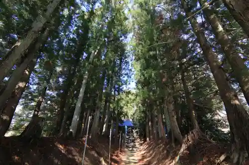 高木神社の自然