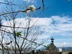 港神社の自然