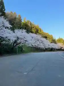 国上寺(新潟県)(2025年04月15日(火) 09時20分59秒投稿)