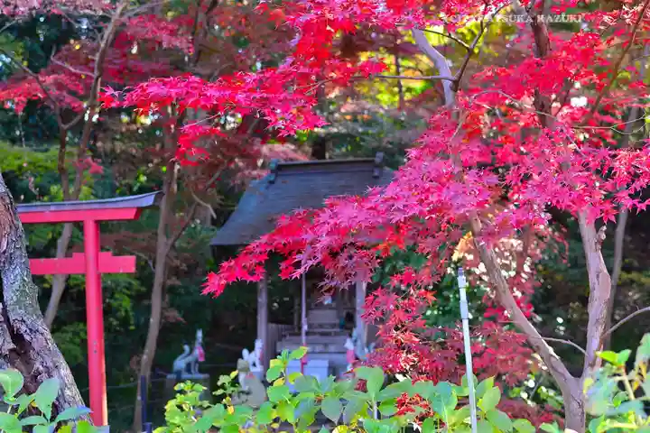 本土寺(千葉県)