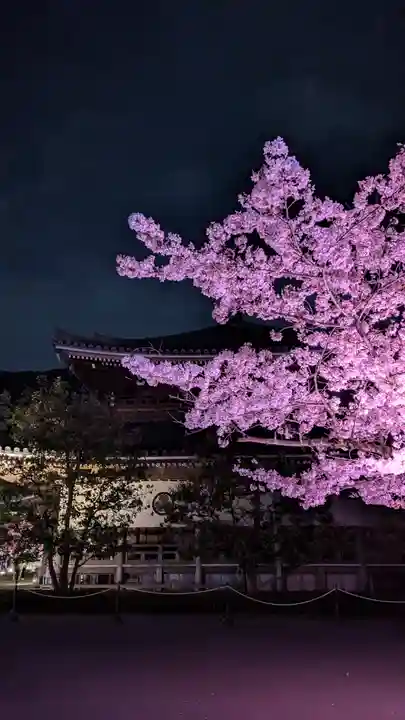 知恩院(京都府)