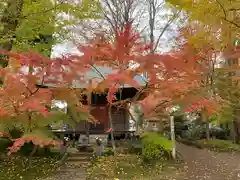 最勝寺の自然