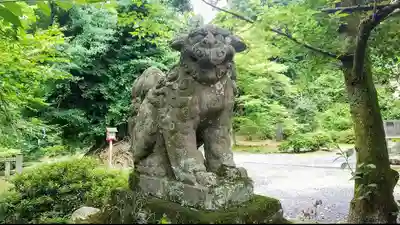 正法寺の狛犬