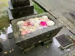 八幡神社・智古神社(宮崎県)