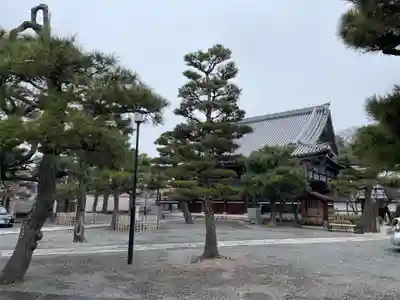 上善寺(京都府)