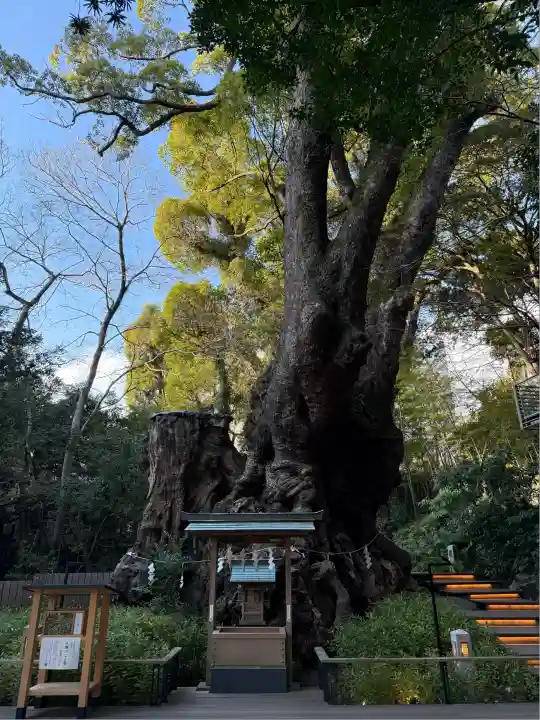 來宮神社(静岡県)