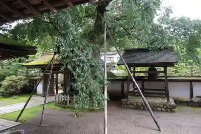 清浄心院(和歌山県)