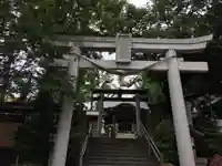 鳩ヶ谷氷川神社の鳥居