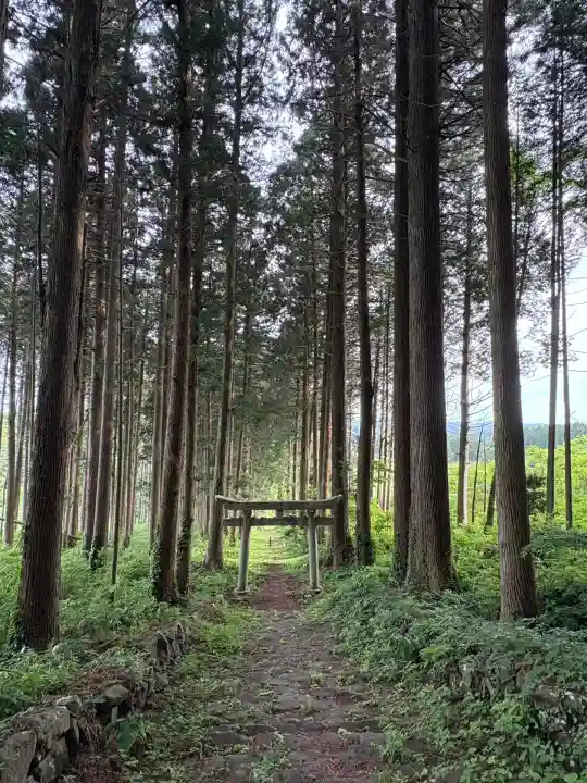 荒戸神社の鳥居