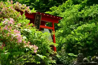 高龍神社　奥之院(新潟県)