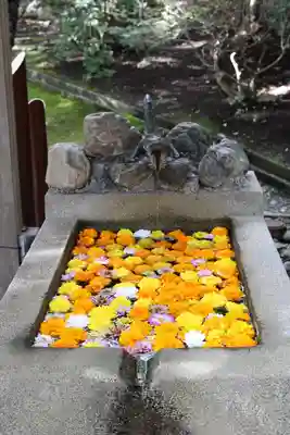 村雲御所瑞龍寺門跡(滋賀県)