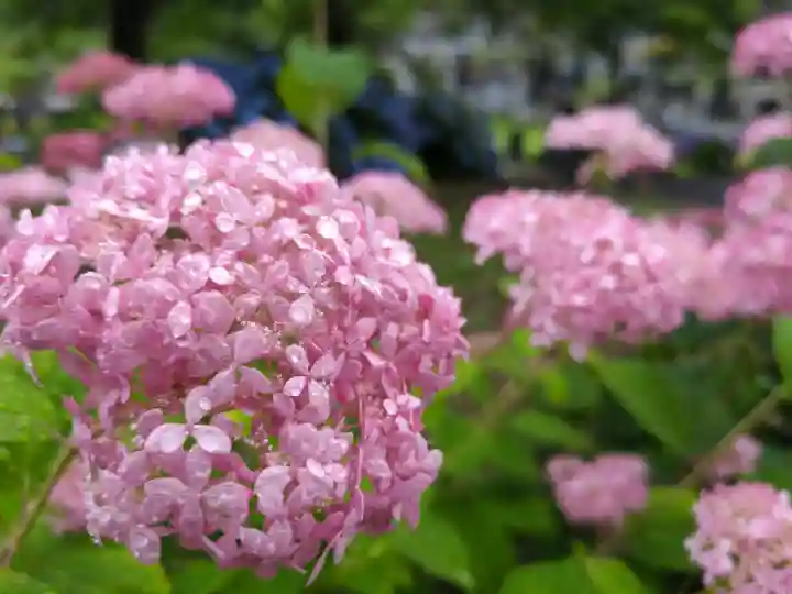 陽林寺(福島県)