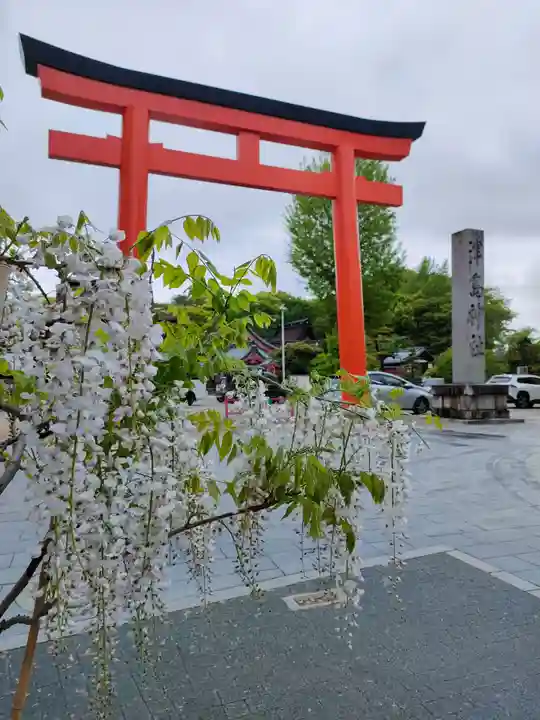 津島神社の鳥居