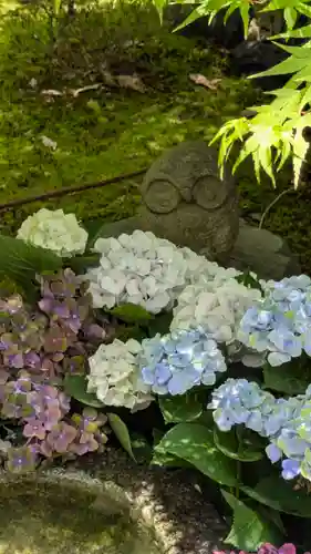 勝林寺(京都府)