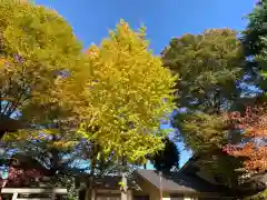 小野神社の自然