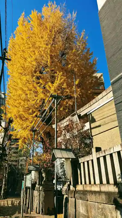 小野照崎神社の自然