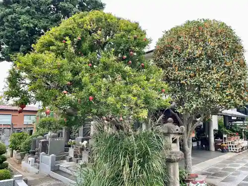 明王院(東京都)