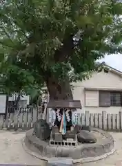 八坂神社(大阪府)