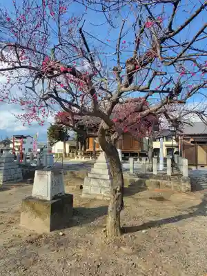 天満宮 (川崎町)(栃木県)