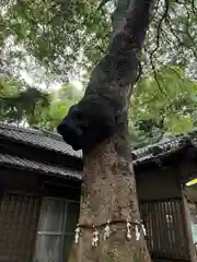 氷川女體神社(埼玉県)