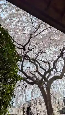 本満寺(本願満足寺)(京都府)