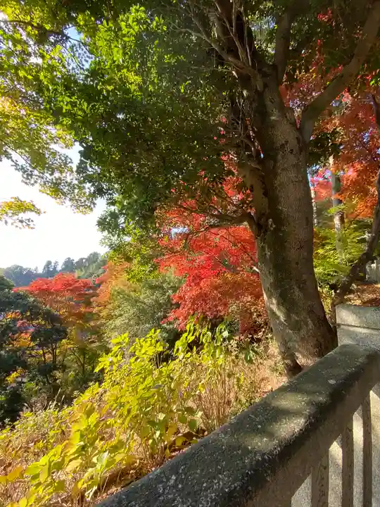 柳谷観音 楊谷寺の自然
