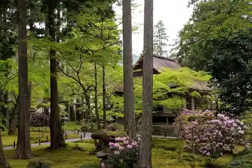 三千院門跡(京都府)