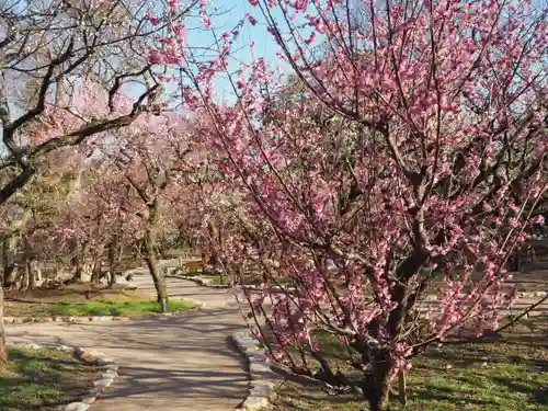 北野天満宮の庭園