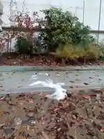 白狐山光星寺(山形県)