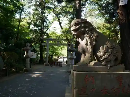 岩槻久伊豆神社の狛犬