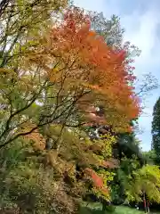 土津神社｜こどもと出世の神さま(福島県)