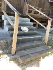 愛知県高浜市春日神社の動物